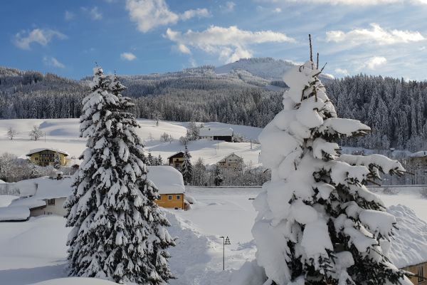 Kerschbaumer (Rußbach am Paß Gschütt)